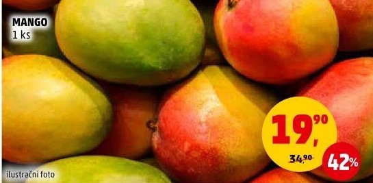 Mango