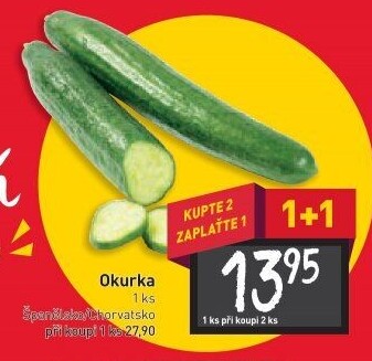 Okurka hadovka