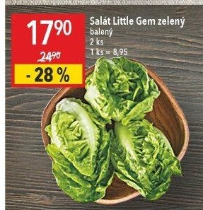Salát little gem