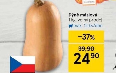 Dýně máslová