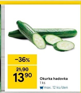 Okurka hadovka