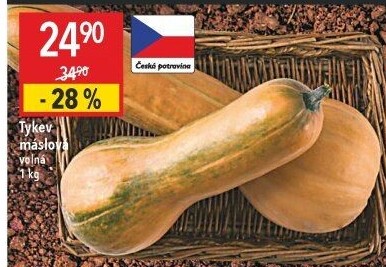Dýně máslová