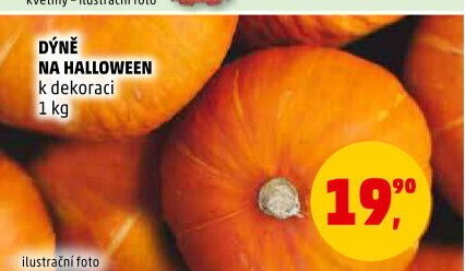 Dýně Halloween