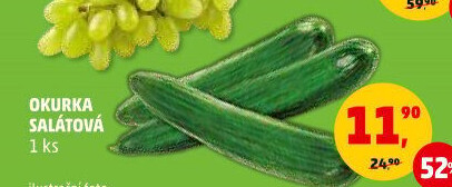 Okurka hadovka