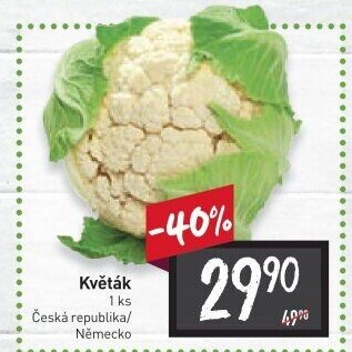 Květák