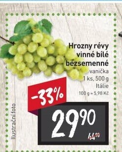 Hrozny bílé bezsemenné