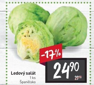 Salát ledový
