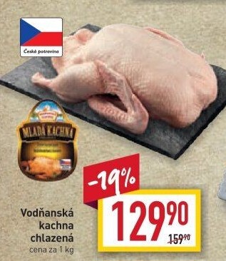 Kachna Vodňanská kachna