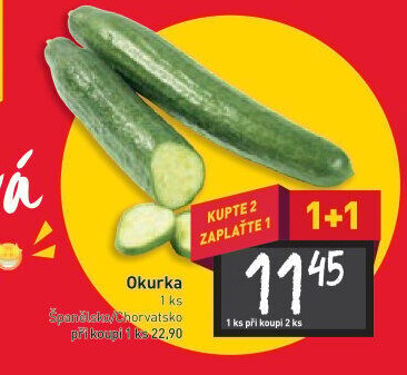 Okurka hadovka