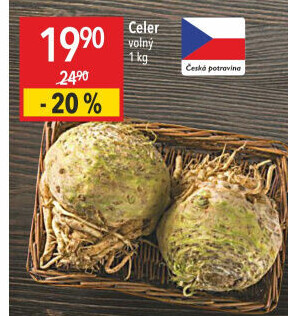 Celer bulva