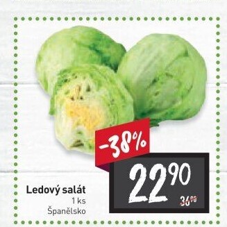 Salát ledový
