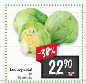 Salát ledový