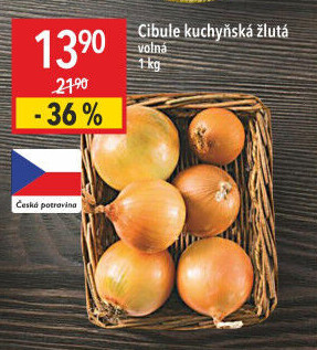 Cibule kuchyňská žlutá