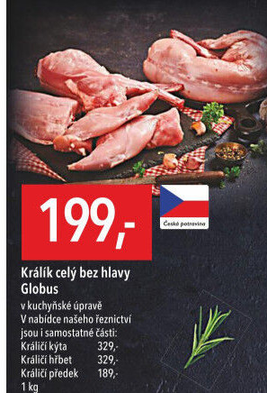 Králík Globus