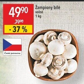Žampiony bílé