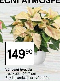 Vánoční hvězda