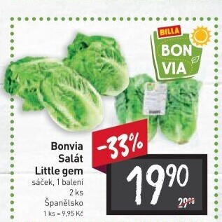 Salát little gem Billa Bonvia