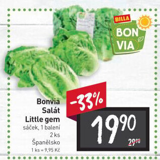 Salát little gem Billa Bonvia