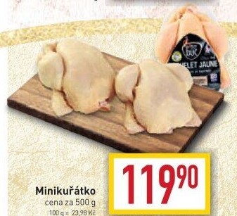 Mini kuřátko P'