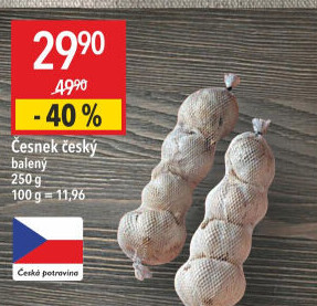 Česnek český