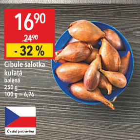 Cibule šalotka