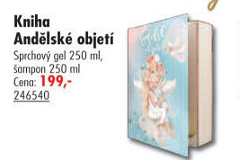 Dárková kazeta kniha Andělské objetí Bohemia Gifts &amp