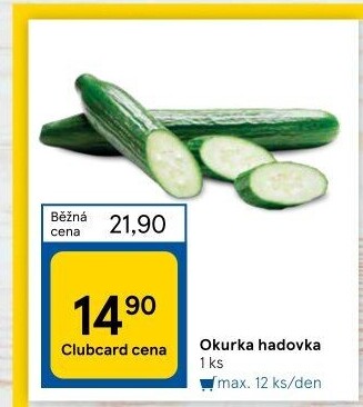Okurka hadovka