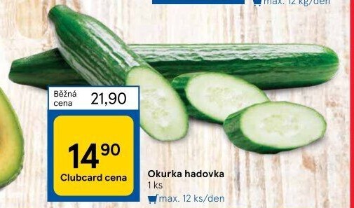 Okurka hadovka