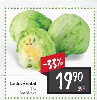 Salát ledový