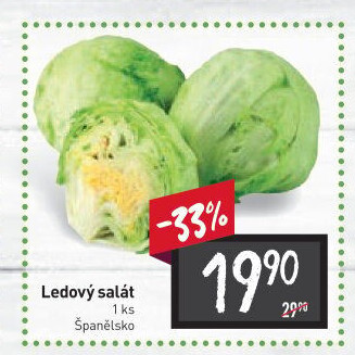 Salát ledový