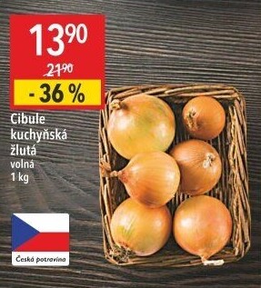Cibule kuchyňská žlutá