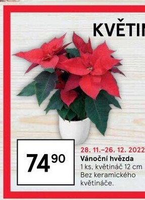 Vánoční hvězda