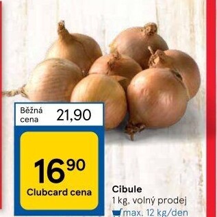 Cibule kuchyňská žlutá
