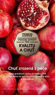akční leták Tesco 19.12.2022-24.12.2022