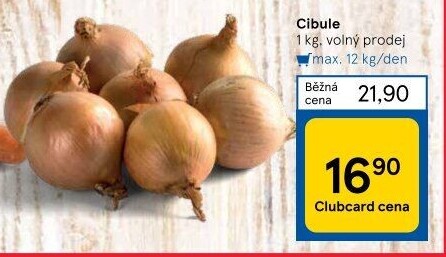Cibule kuchyňská žlutá