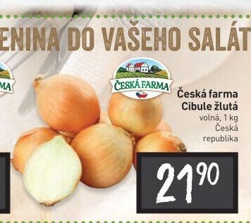 Cibule žlutá Česká Farma