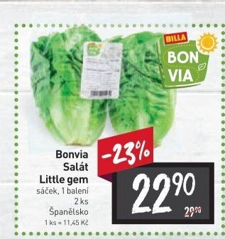 Salát little gem Billa Bonvia
