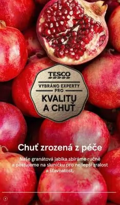 akční leták Tesco 19.12.2022-24.12.2022