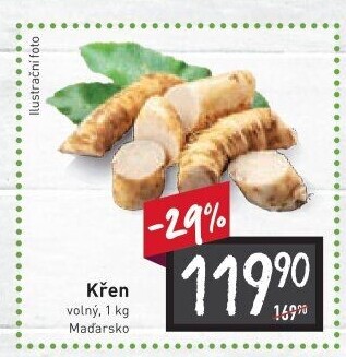 Křen