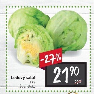 Salát ledový