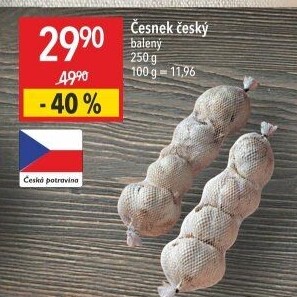 Česnek český