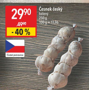 Česnek český