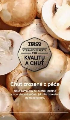 akční leták Tesco 2.1.2023-10.1.2023