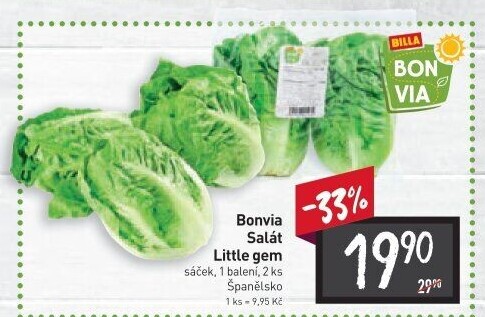 Salát little gem Billa Bonvia