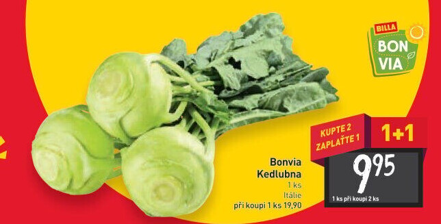 Kedlubna bílá Billa Bonvia