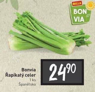 Celer řapíkatý Billa Bonvia