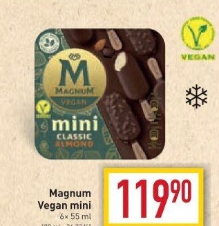 Nanuk Magnum Mini Vegan Algida