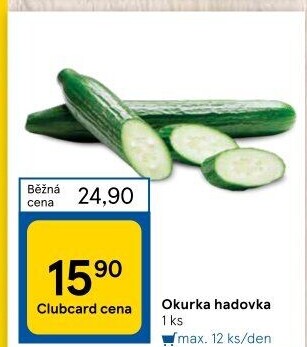Okurka hadovka
