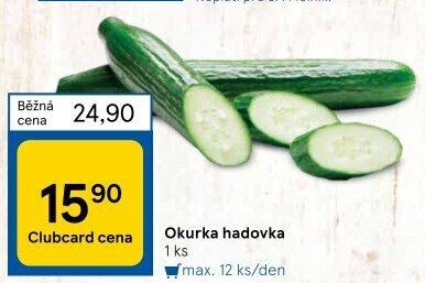 Okurka hadovka