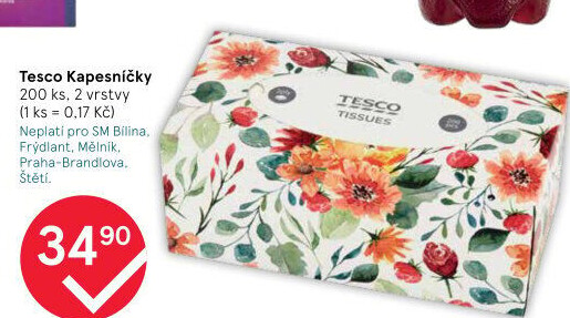 Papírové kapesníčky 2vrstvé Tesco - box